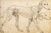 Studies of a Greyhound, ZUCCARO Federico